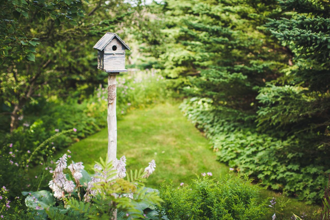 Abbie'S Garden Bed & Breakfast Grand Bank 外观 照片