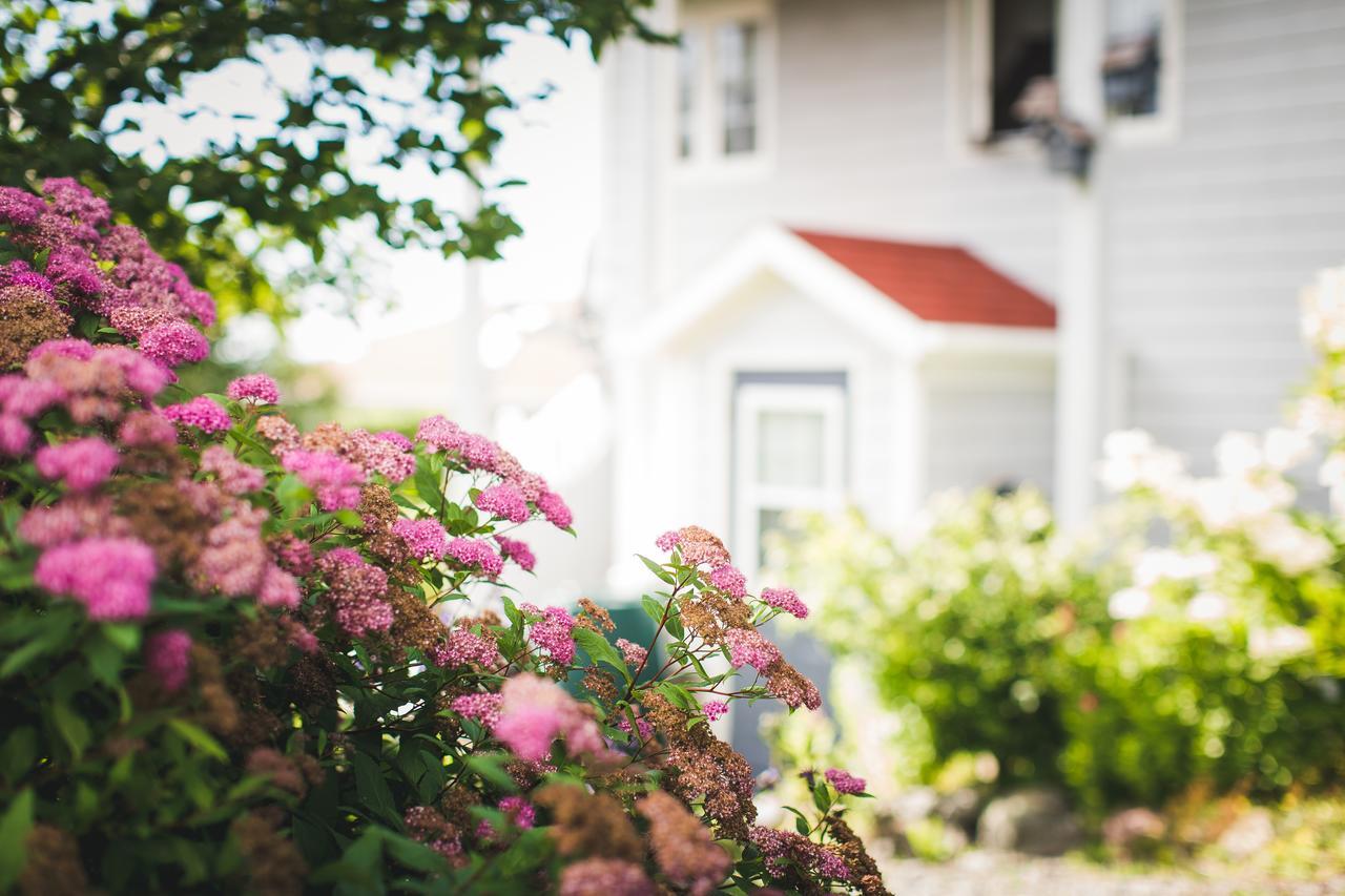 Abbie'S Garden Bed & Breakfast Grand Bank 外观 照片