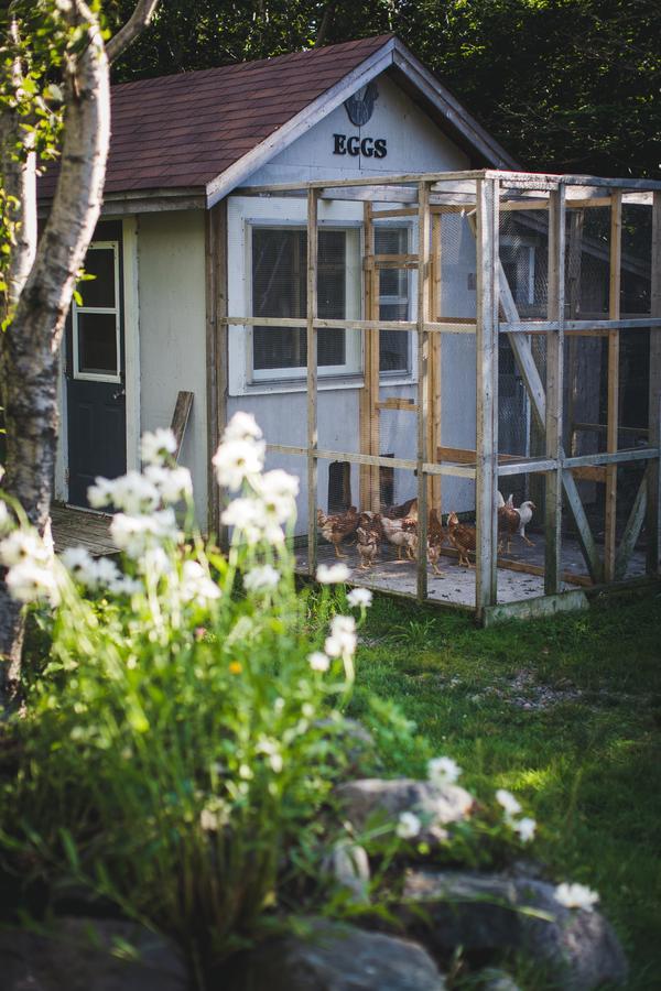Abbie'S Garden Bed & Breakfast Grand Bank 外观 照片